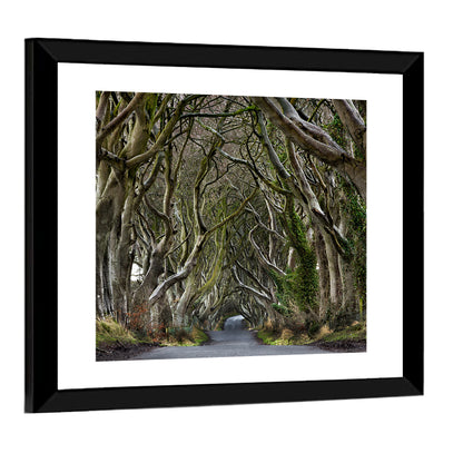 Dark Hedges Tree Tunnel Wall Art