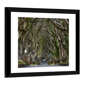 Dark Hedges Pathway Wall Art