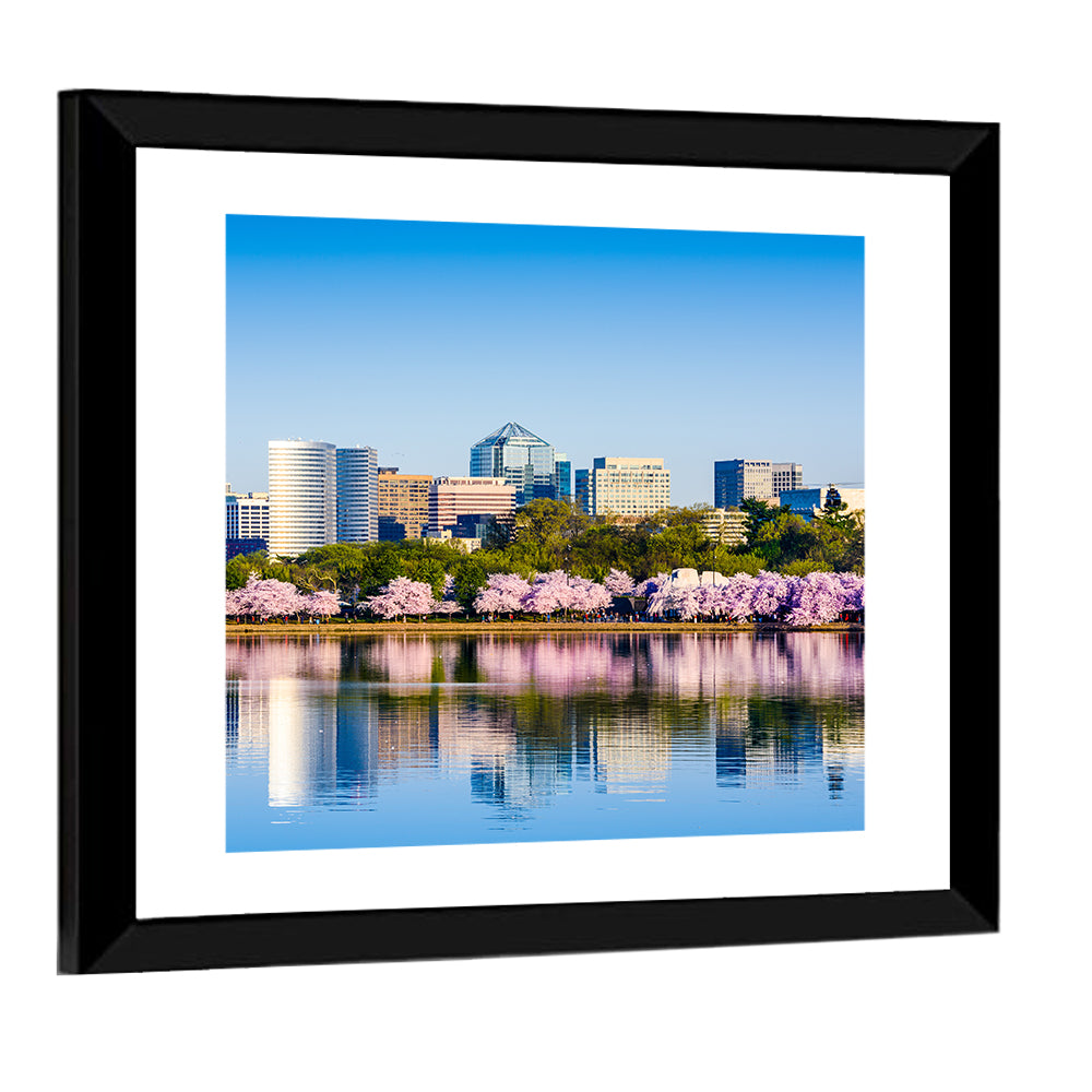 Tidal Basin Washington D.c. Cherry Blossoms Wall Art