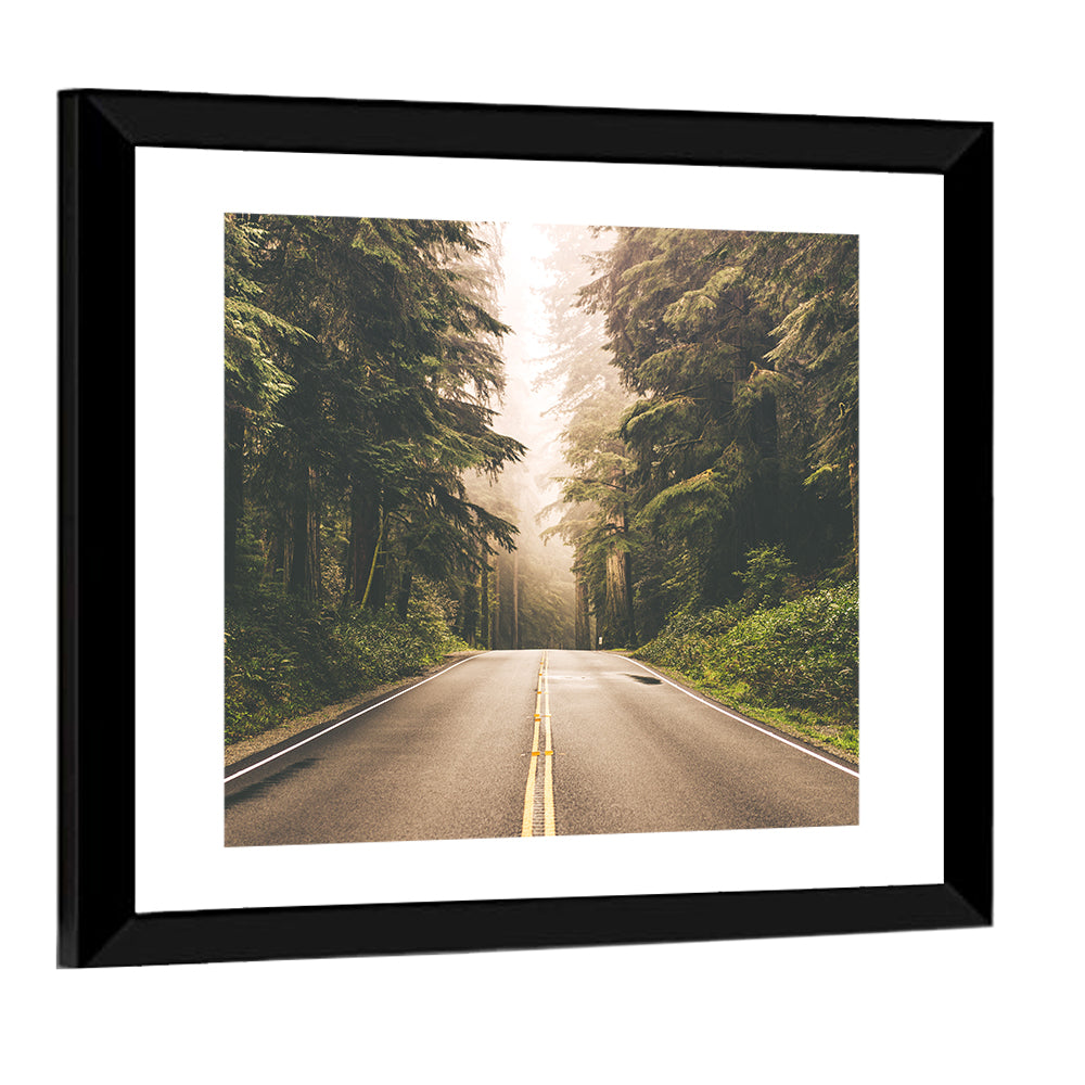 Redwood Highway, Northern California Wall Art