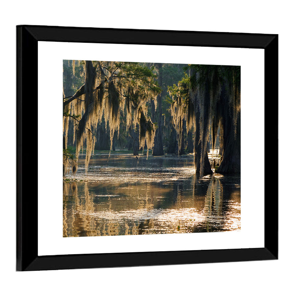 Spanish Moss in Louisiana Bayou Wall Art