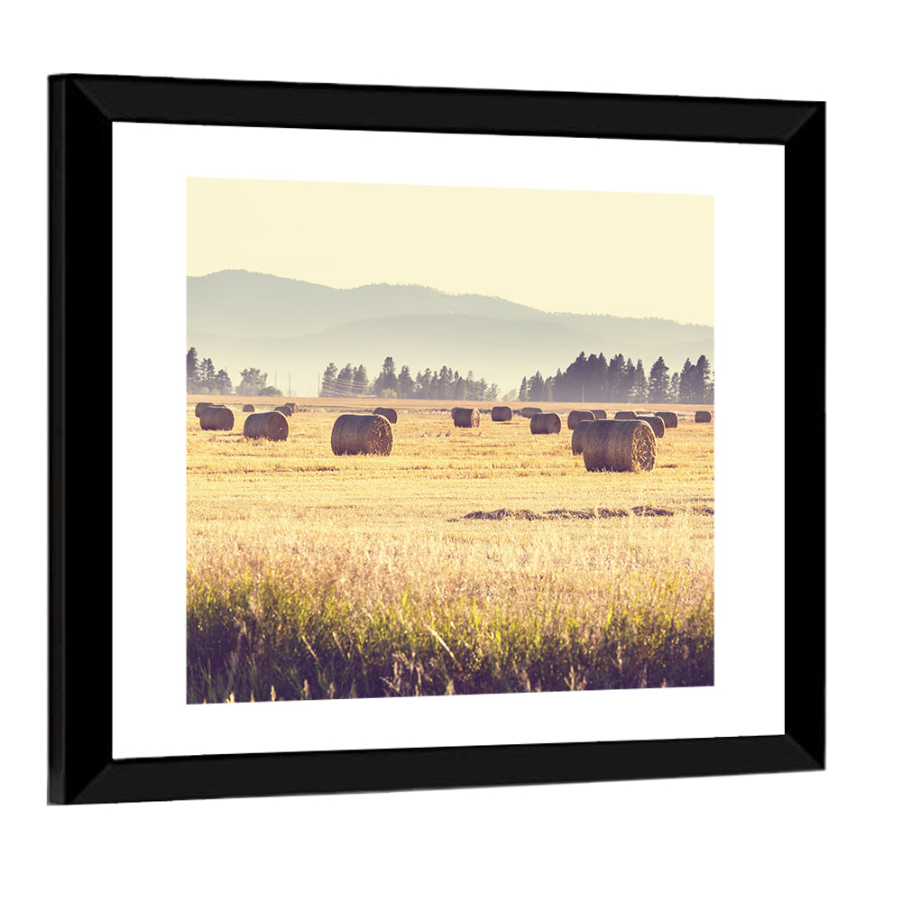 Golden Hay Bales Field Wall Art