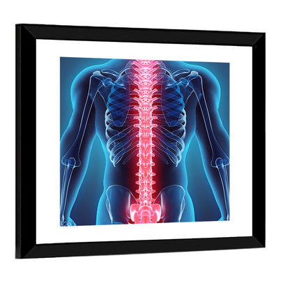 Human Spine Anatomy Illustration Wall Art