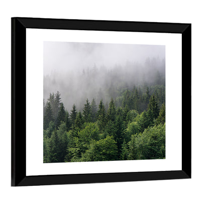 Misty Evergreen Forest Overview Wall Art