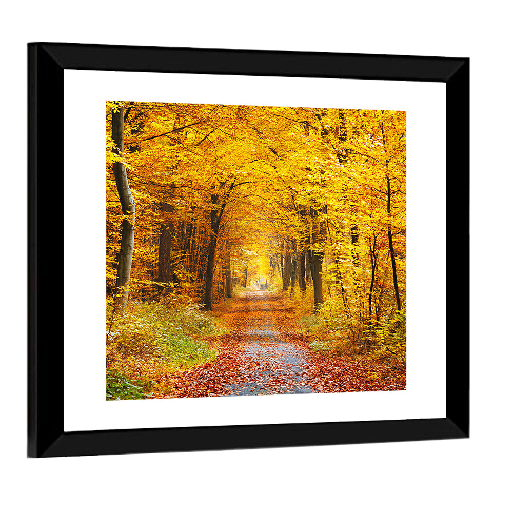 Autumn Forest Path Wall Art