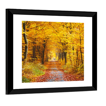 Autumn Forest Path Wall Art