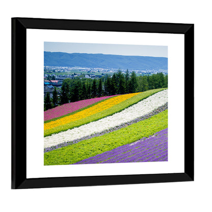 Farm Tomita Lavender Fields Wall Art