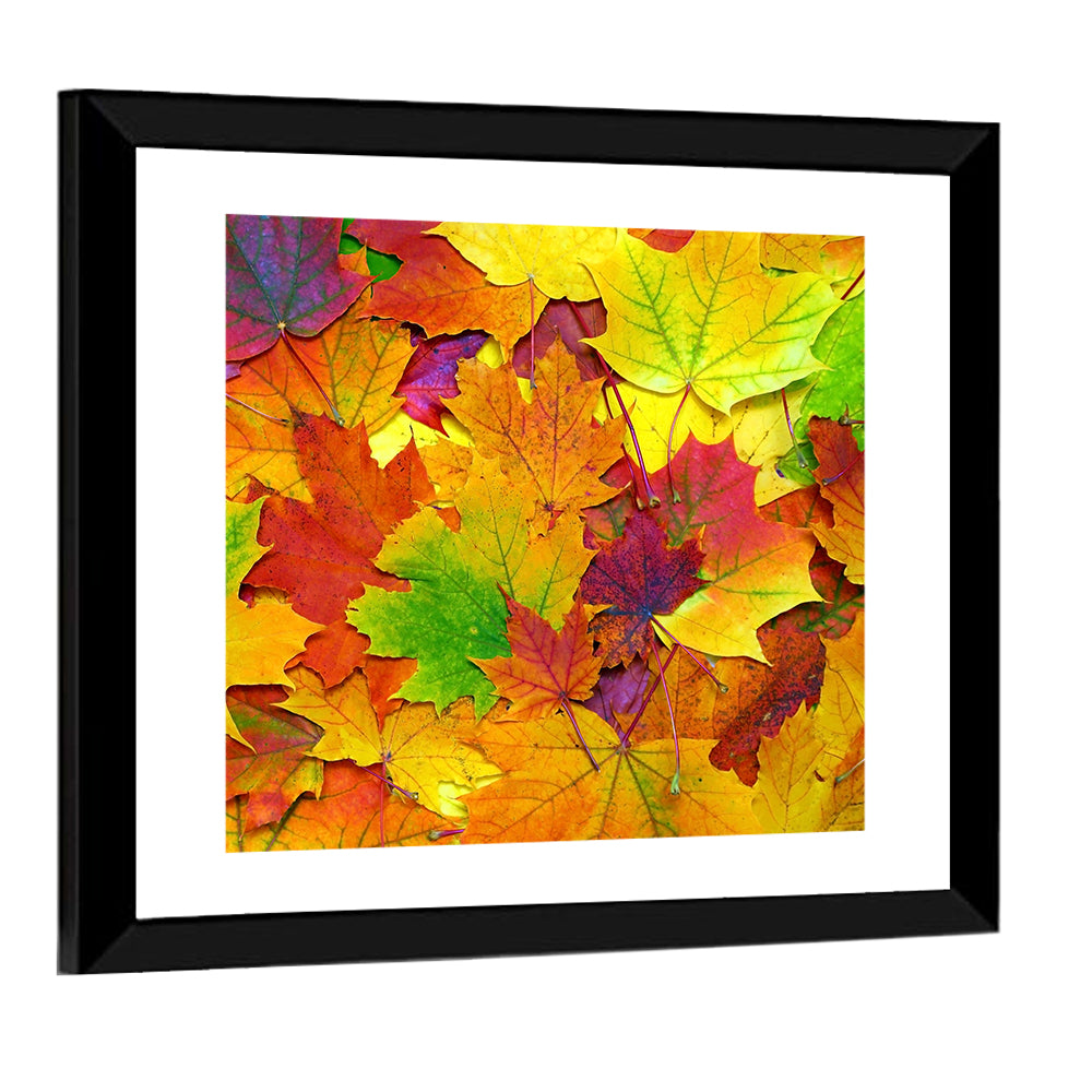 Colorful Autumn Leaves Wall Art