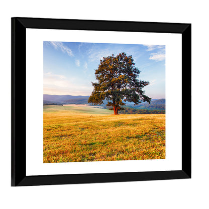 Golden Hour Meadow with Lone Tree Wall Art