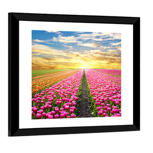 Sunrise Over Tulip Field Wall Art