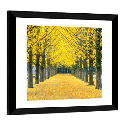 Row of Yellow Ginkgo Trees Wall Art