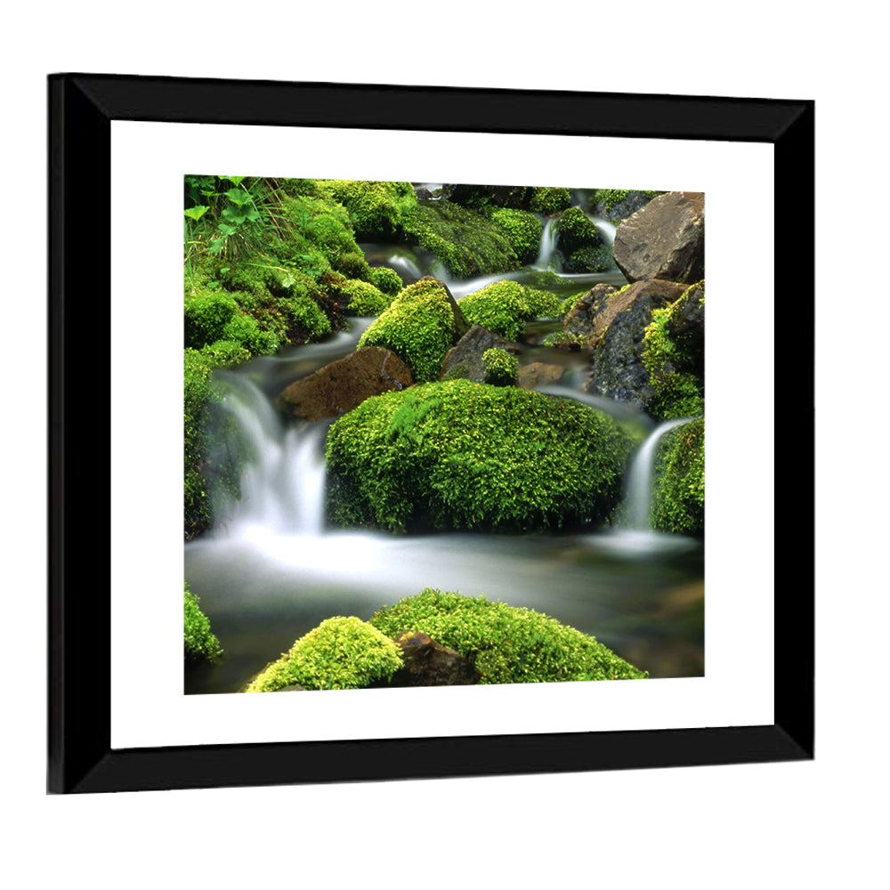 Mossy Mountain Stream Wall Art