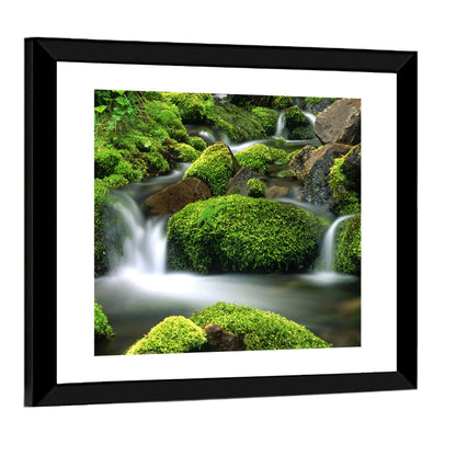 Mossy Mountain Stream Wall Art
