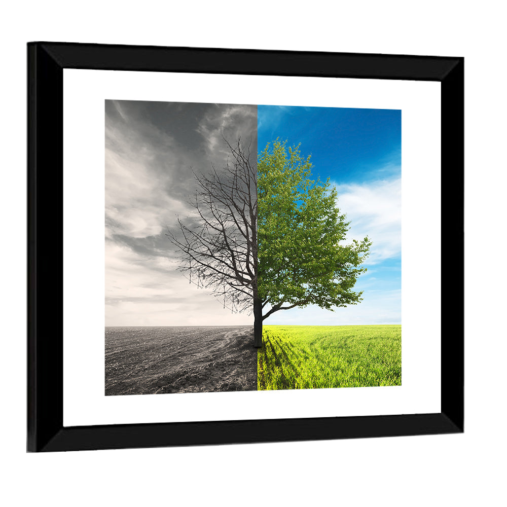 Split Tree in Field Wall Art