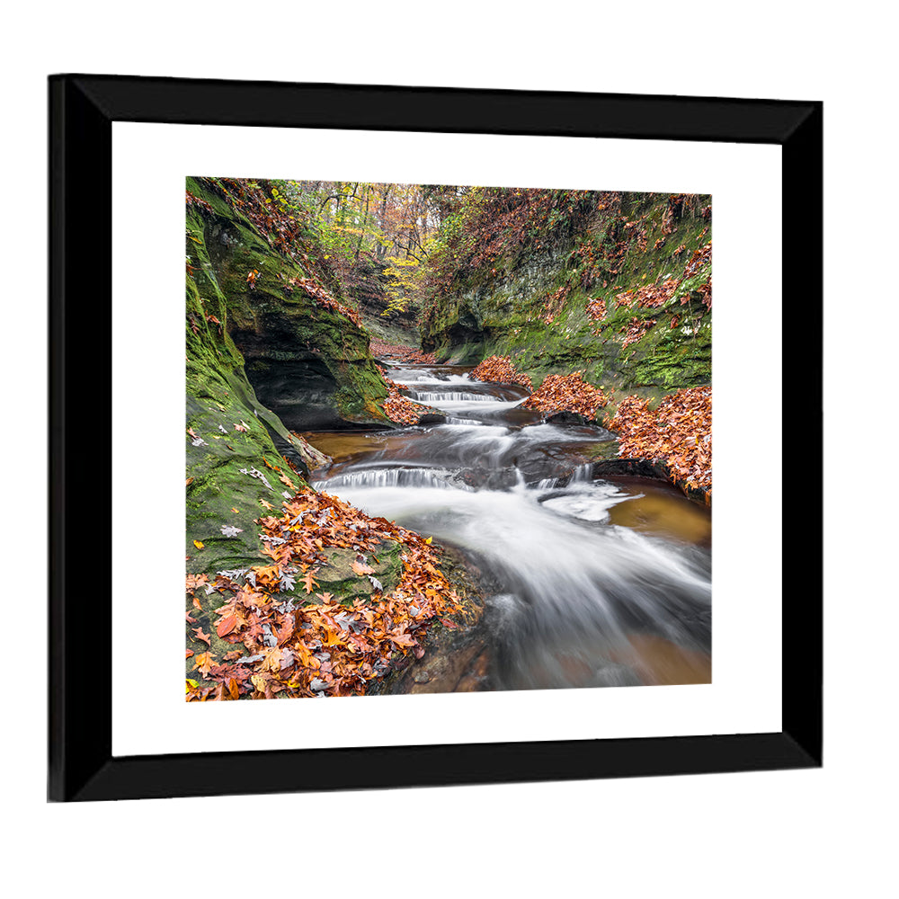 Warren County Autumn Cascades Wall Art