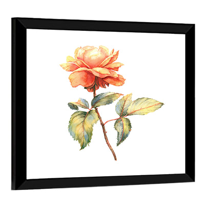 Orange Watercolor Rose Illustration Wall Art