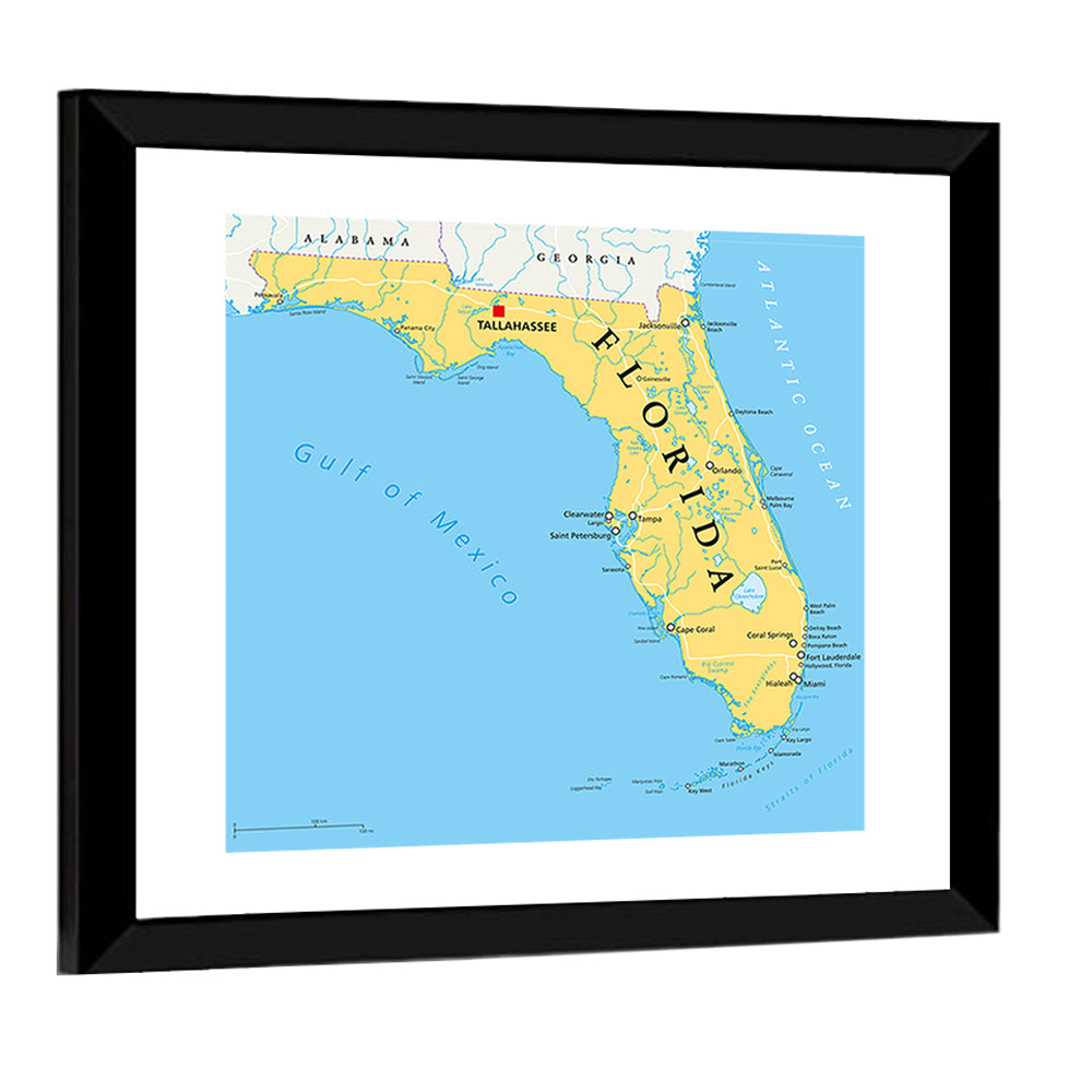 Florida Political Map, Blue and Yellow Wall Art