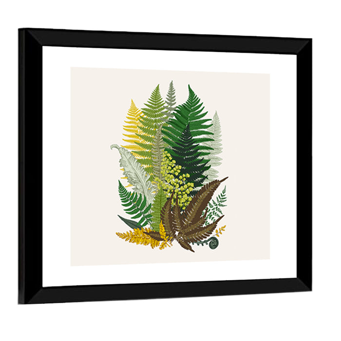 Fern Composition Wall Art as a framed print
