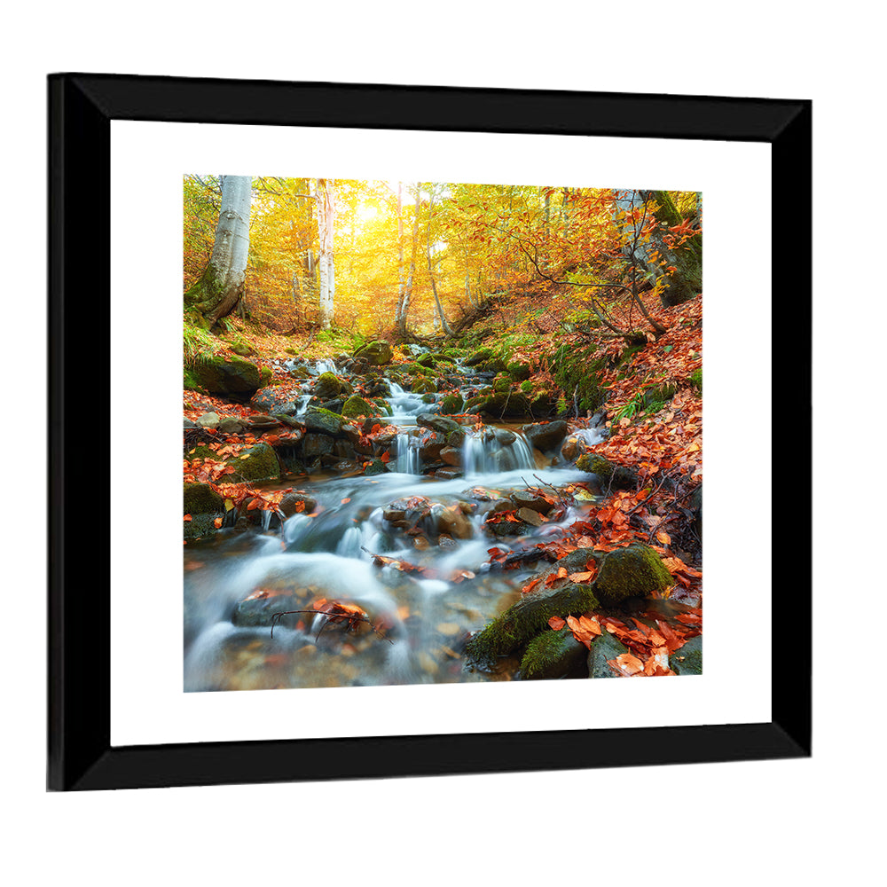 Backlit Autumn Forest Stream Wall Art