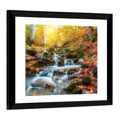Backlit Autumn Forest Stream Wall Art
