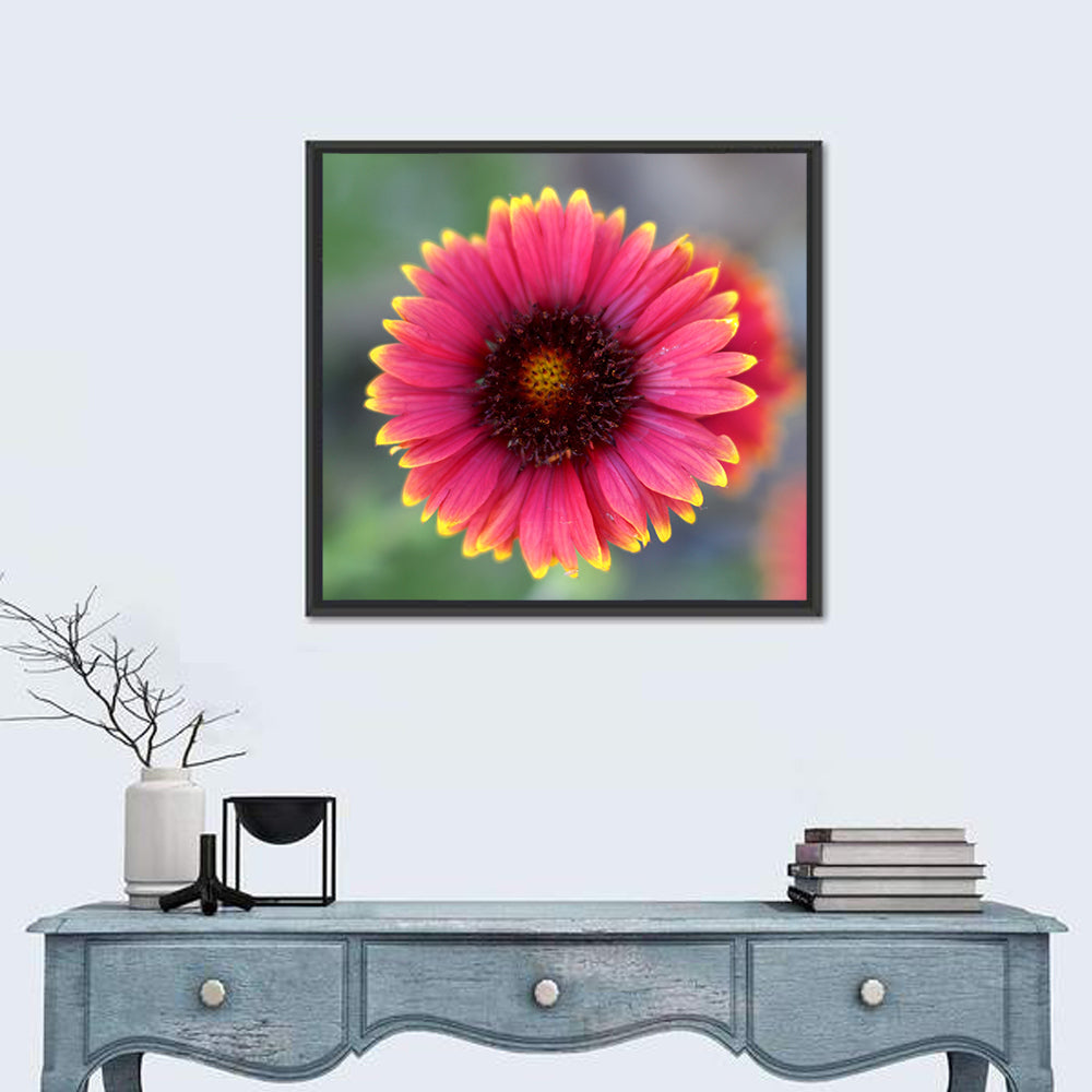 Pink Blossom Close-up Wall Art in a room, square