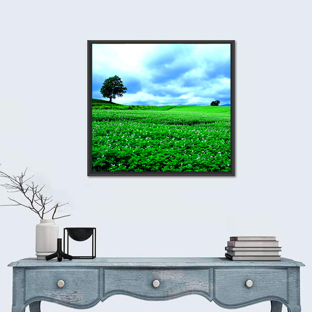 Biei Hill with Lone Tree, Hokkaido Wall Art