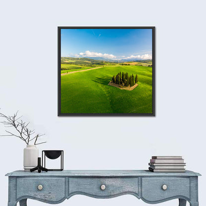 Italian Cypresses on Rolling Hills Wall Art