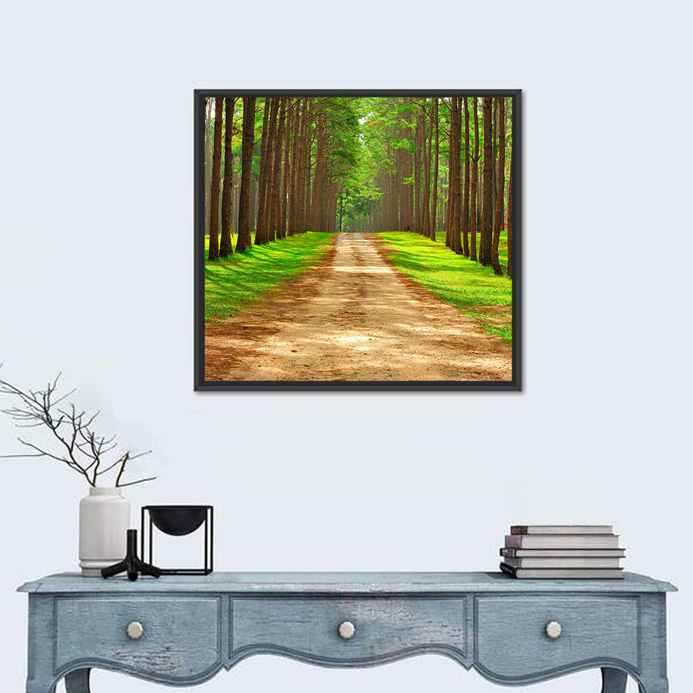 Thailand Pine Forest Path Wall Art