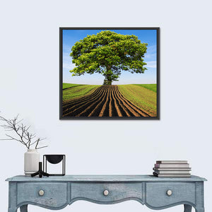 Tree On Hill Wall Art