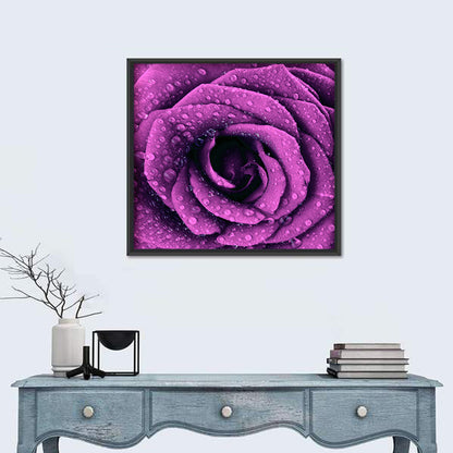 Rain Touched Purple Rose Wall Art