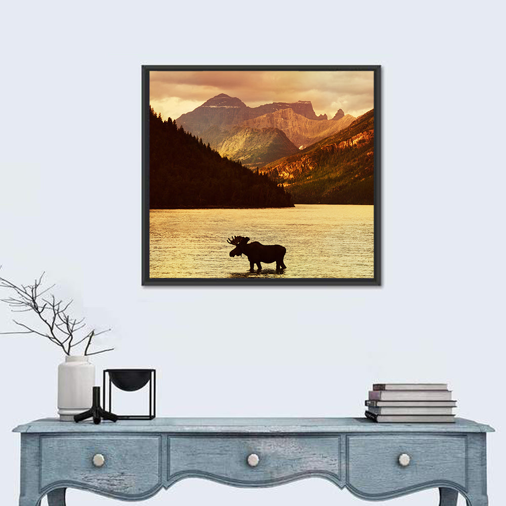 Waterton Lakes Moose at Golden Dusk Wall Art