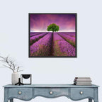 Lavender Field at Sunset Wall Art