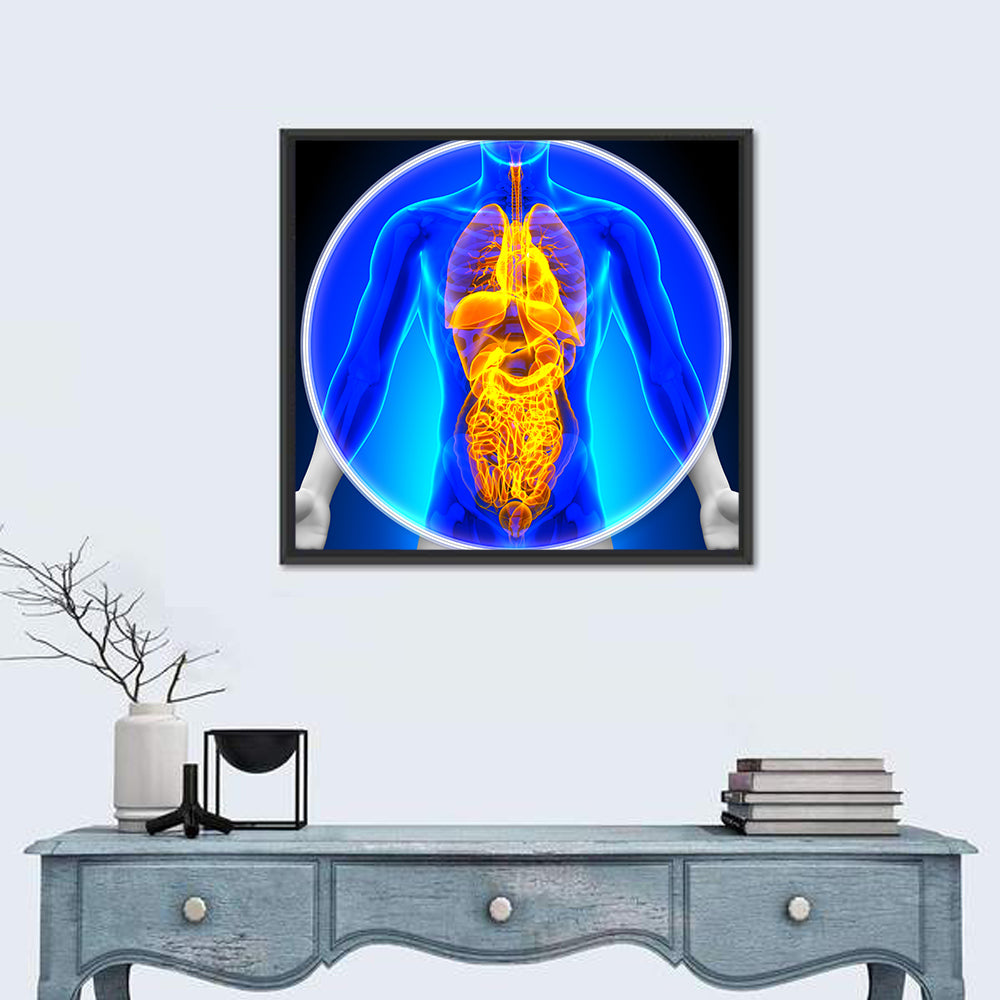 All Organs X-ray Illustration Wall Art in a room, square