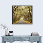 Spanish Moss Country Road Wall Art