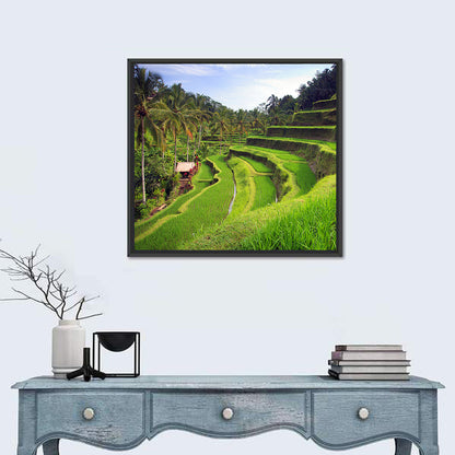 Tegallalang Rice Terraces Wall Art