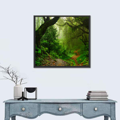 Misty Forest Trail in Nepal Wall Art
