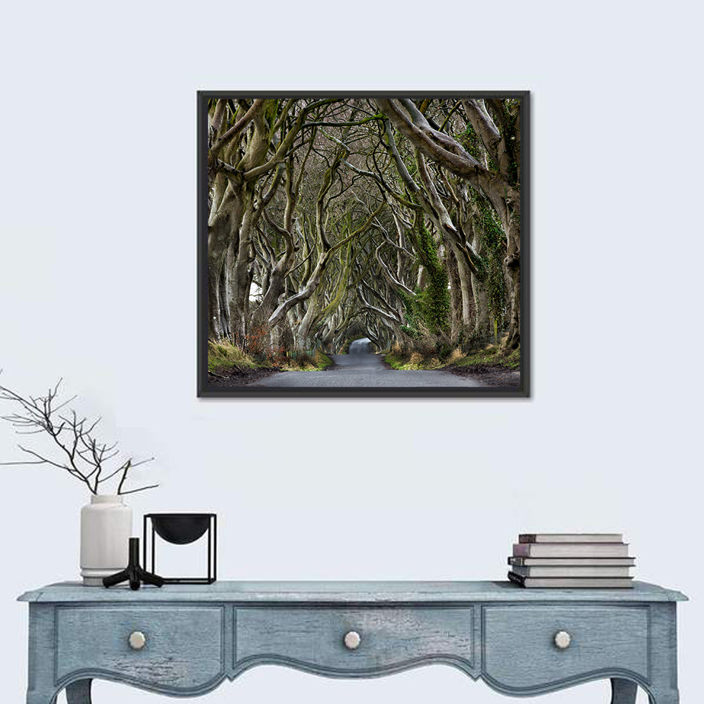 Dark Hedges Tree Tunnel Wall Art