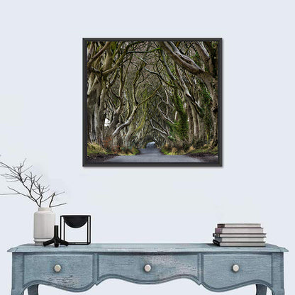 Dark Hedges Tree Tunnel Wall Art