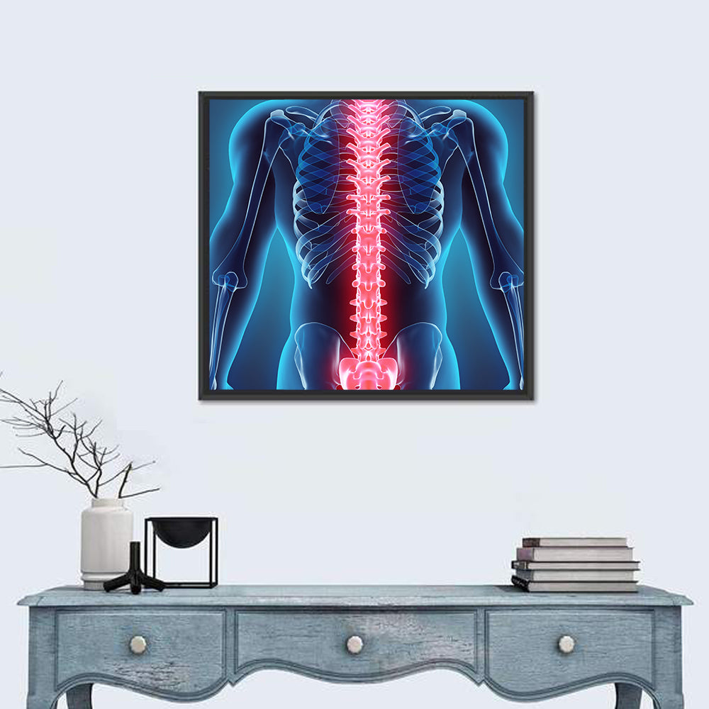 Human Spine Anatomy Illustration Wall Art