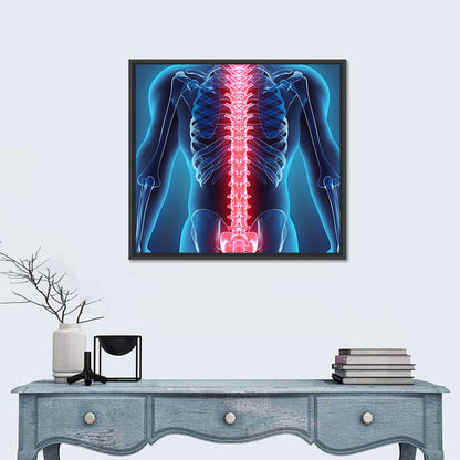 Human Spine Anatomy Illustration Wall Art