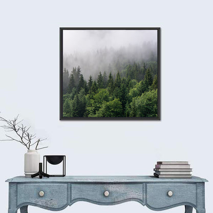 Misty Evergreen Forest Overview Wall Art