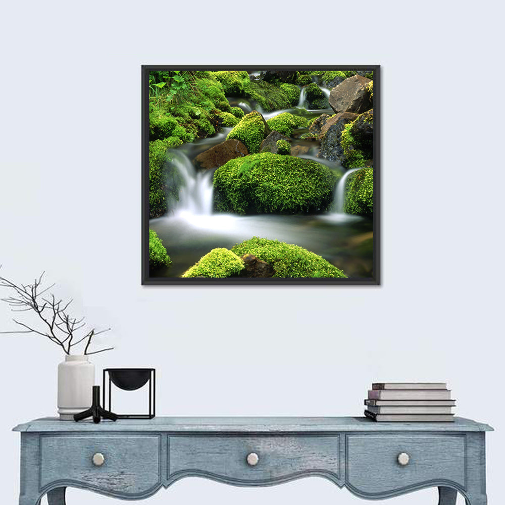 Mossy Mountain Stream Wall Art