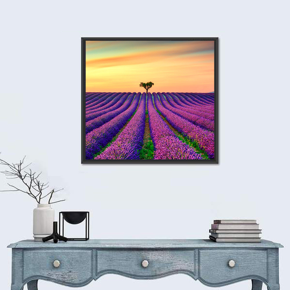 Lavender Field with Solitary Tree Wall Art