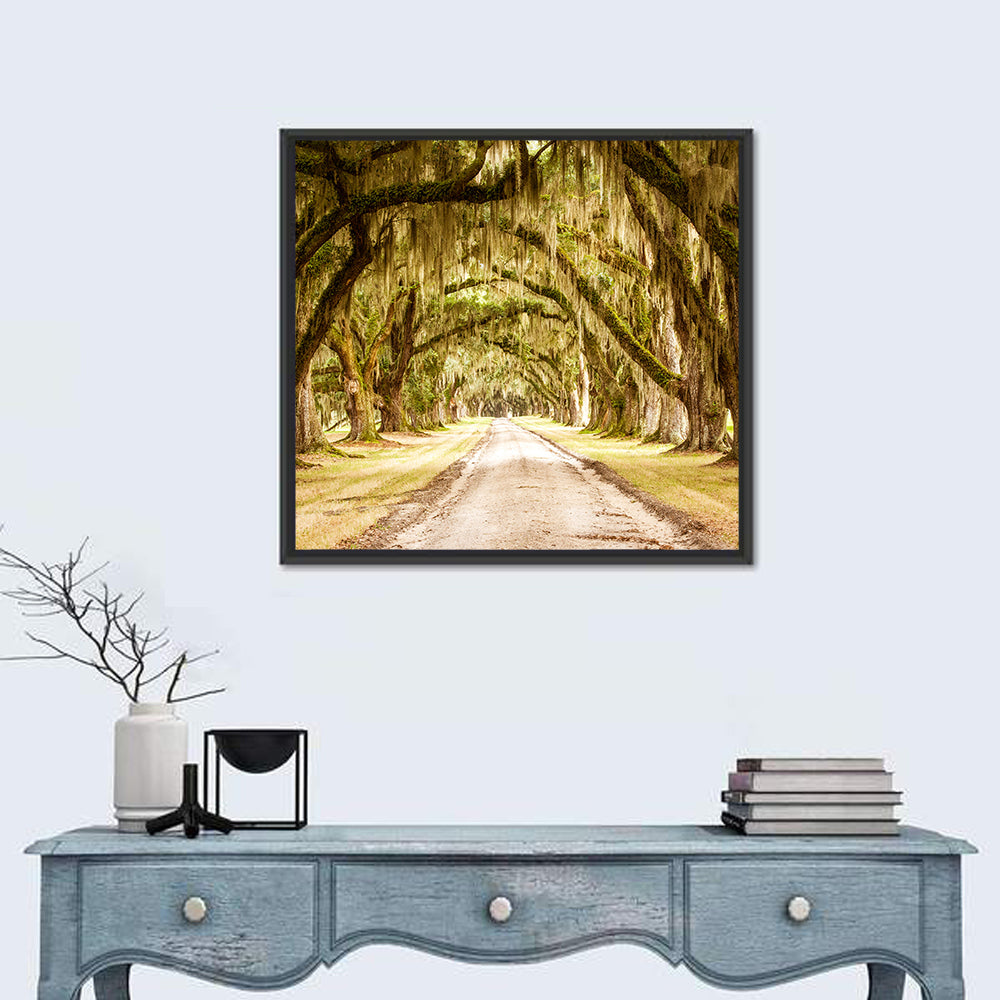Oak Pathway Under Spanish Moss Wall Art