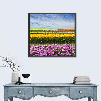 Rows of Colorful Tulip Fields Wall Art