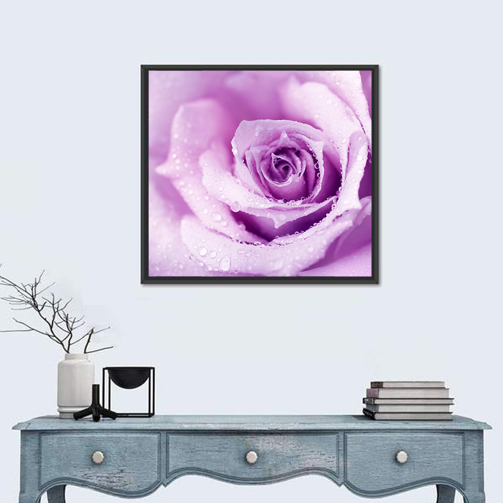 Purple Rose Close-up Wall Art