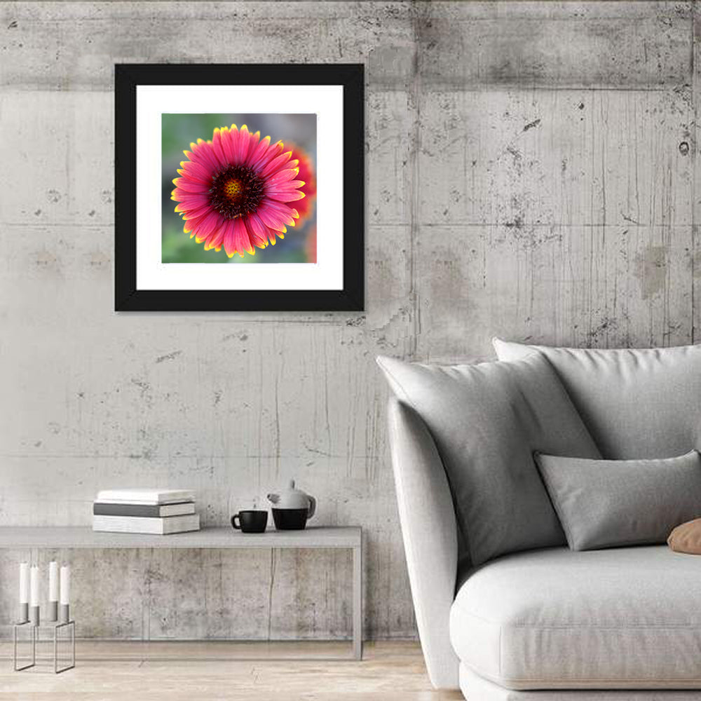 Pink Blossom Close-up Wall Art in a room, square