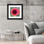 Pink Blossom Close-up Wall Art
