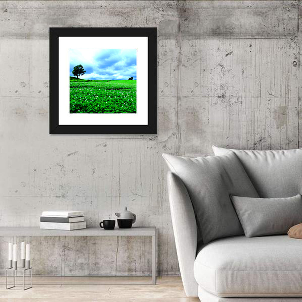 Biei Hill with Lone Tree, Hokkaido Wall Art