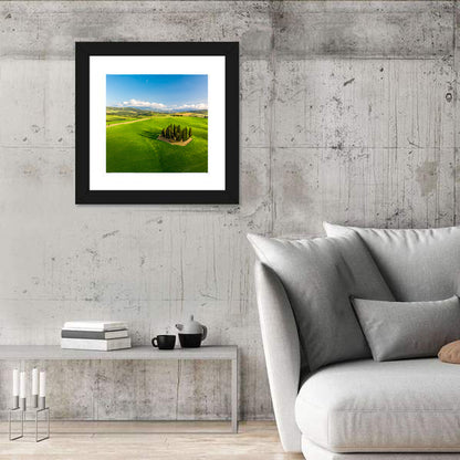 Italian Cypresses on Rolling Hills Wall Art